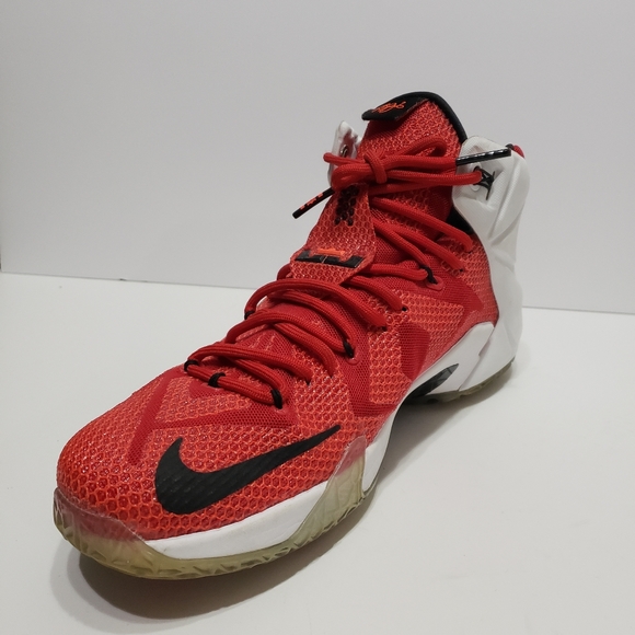 Nike LeBron 12 EP Heart of a Lion Sneakers - Picture 6 of 11